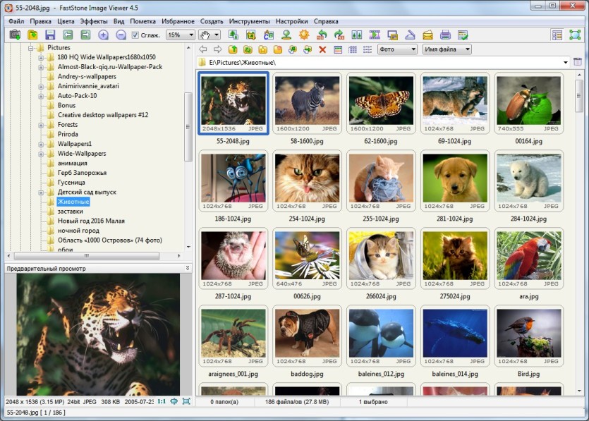 FastStone Image Viewer