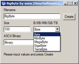 пустой файл BigByte