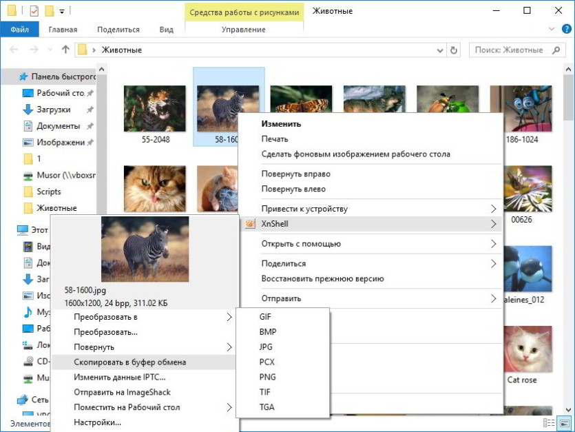 XnShell
