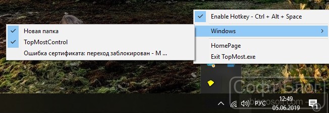 окна поверх всех